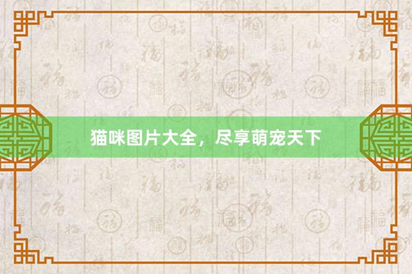 猫咪图片大全，尽享萌宠天下